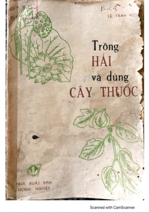 Trồng hái và dùng cây thuốc 1983