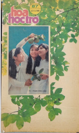 Hoa học trò 87 (Số 11-1995; 10/06/1995)