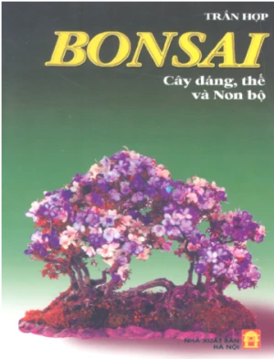Bonsai - Cây dáng, thế và non bộ