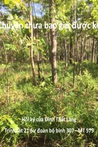 Chuyện Chưa Bao Giờ Được Kể