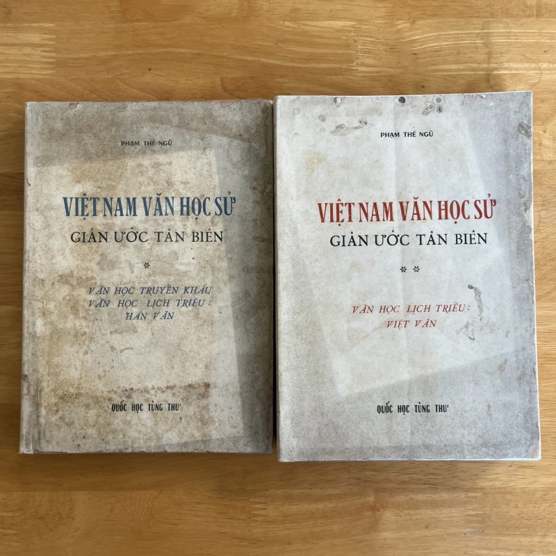 Việt Nam Văn Học Sử Giản Ước Tân Biên