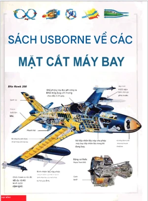Mặt cắt máy bay