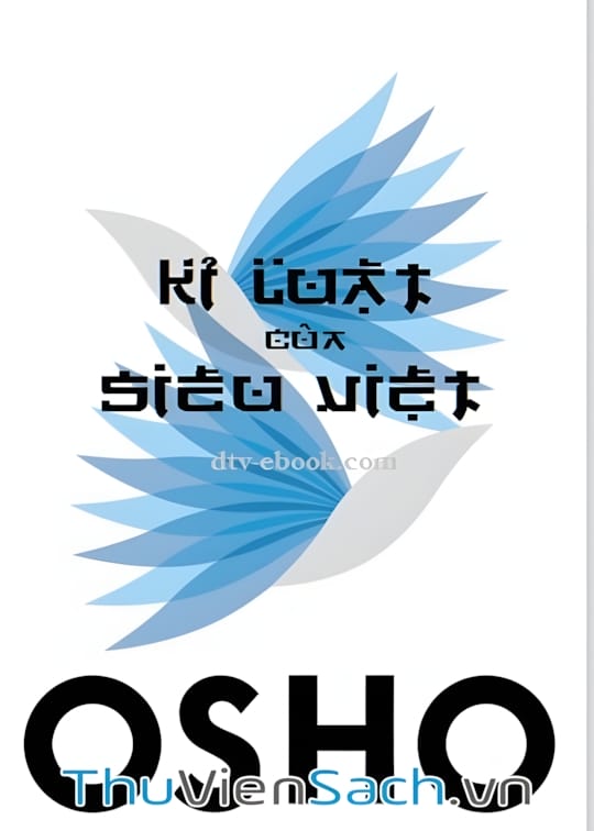 Kỉ luật của siêu việt T03