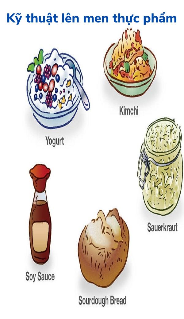 Kỹ thuật lên men thực phẩm cổ truyền Việt Nam và các nước trong vùng